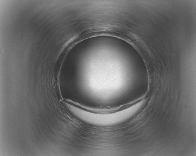 X0000056371210200509232149