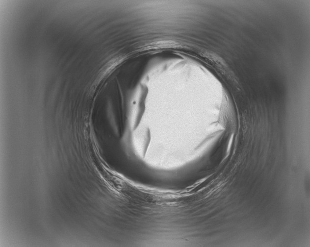 X0000056371225200509232150