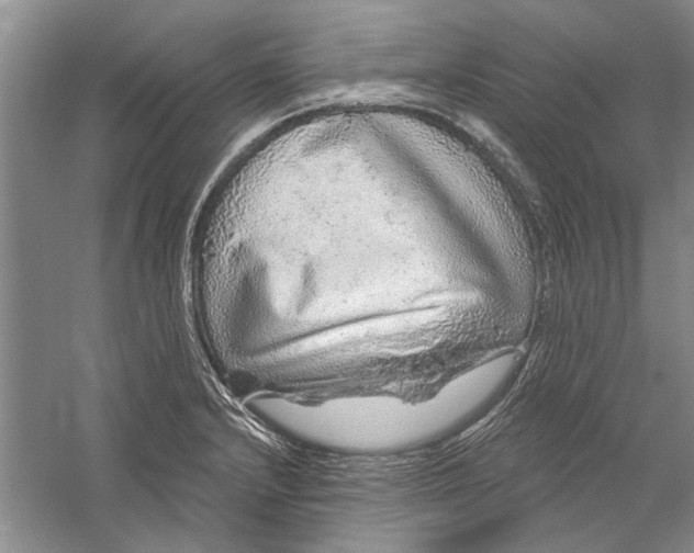 X0000056371232200509232150