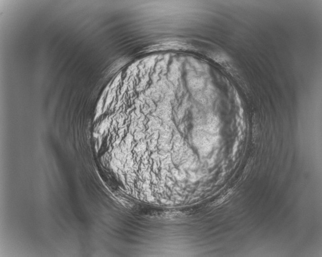 X0000056371233200509232150