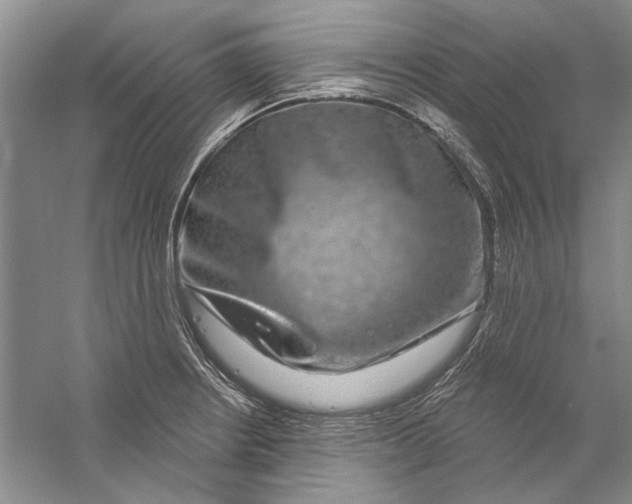 X0000056371234200509232150