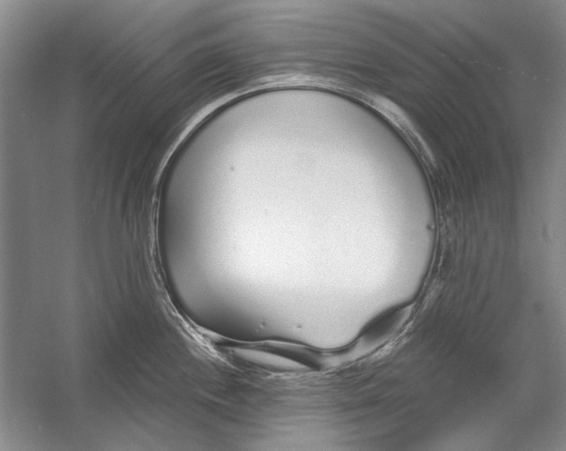 X0000056371244200509232150