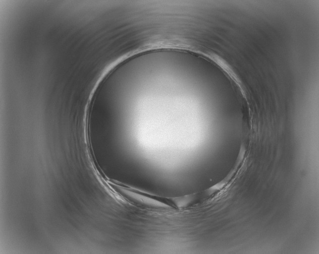 X0000056371246200509232150