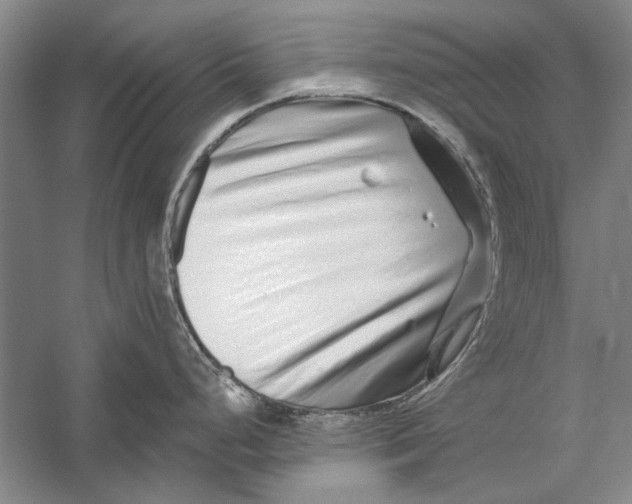 X0000056371248200509232150