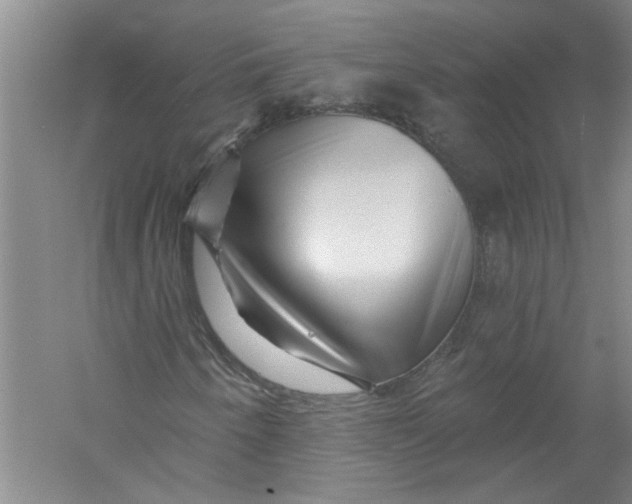 X0000056371250200509232149