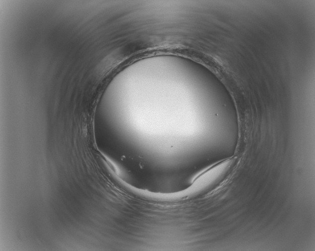 X0000056371257200509232149