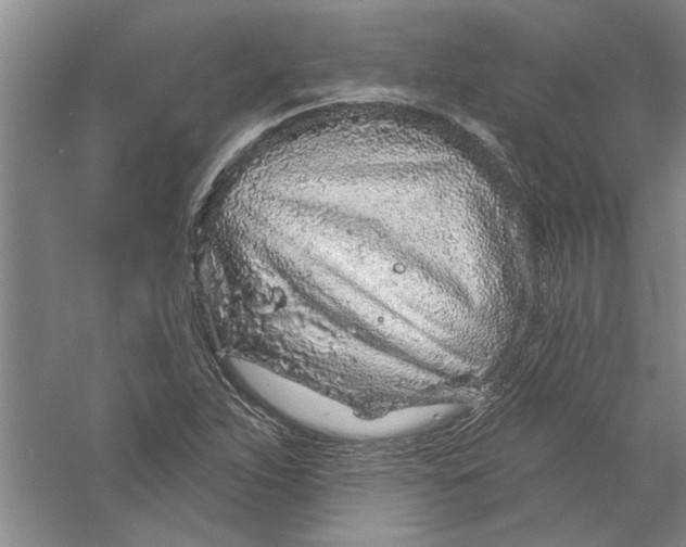 X0000056371263200509232149