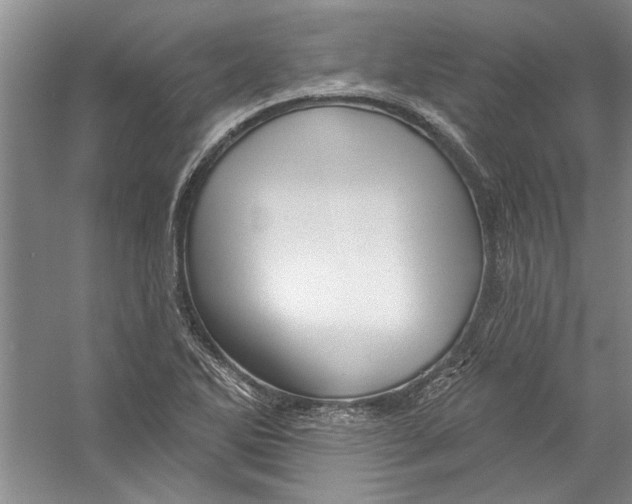 X0000056371270200509232149