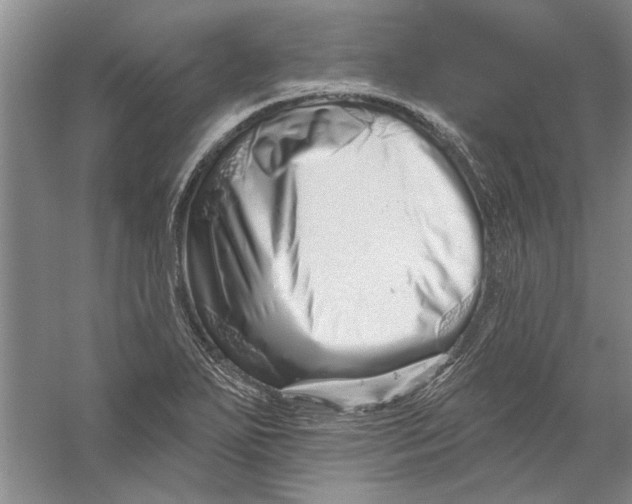X0000056371271200509232149