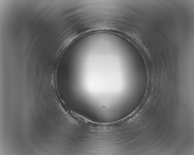 X0000056371273200509232149