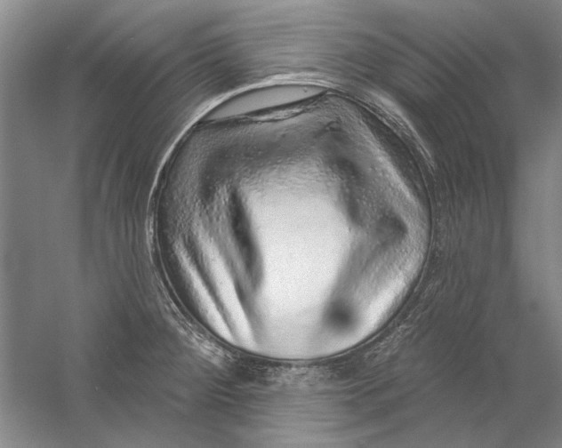X0000056371284200509232149