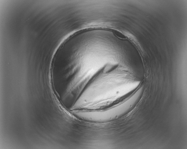 X0000056371288200509232149