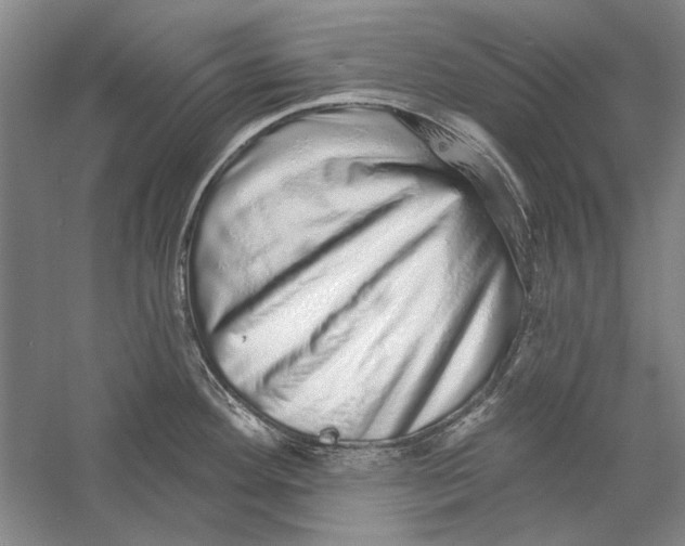 X0000056371292200509232149