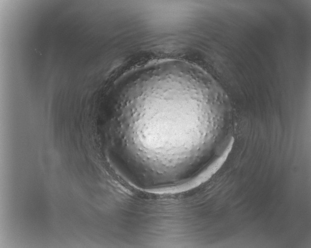X0000056371297200509232148