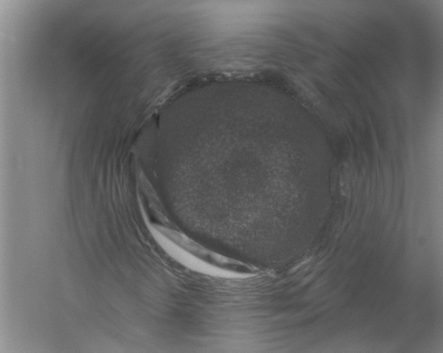 X0000056371298200509232148