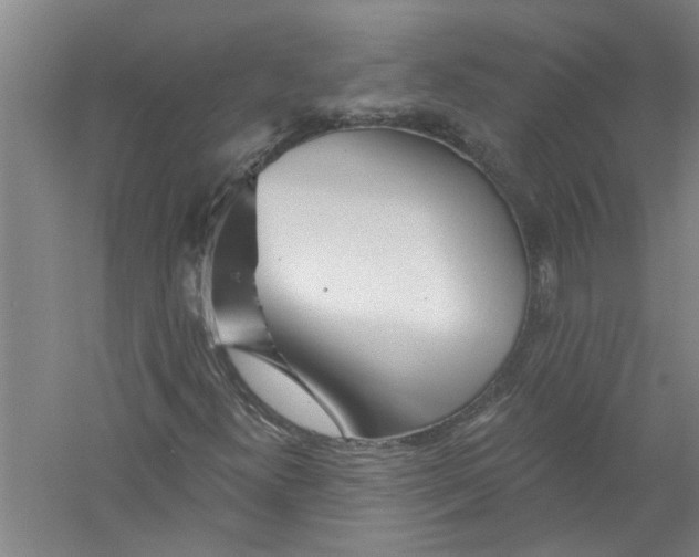 X0000056371300200509232148