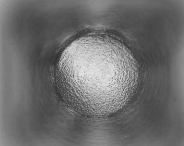 X0000056371301200509232148
