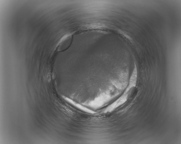X0000056371306200509232148