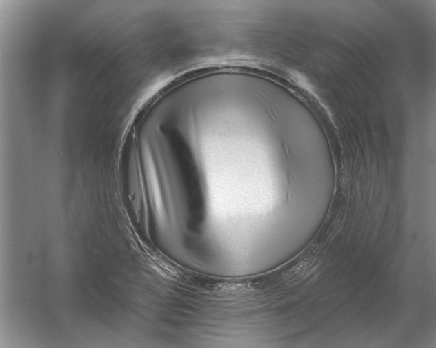 X0000056371320200509232148
