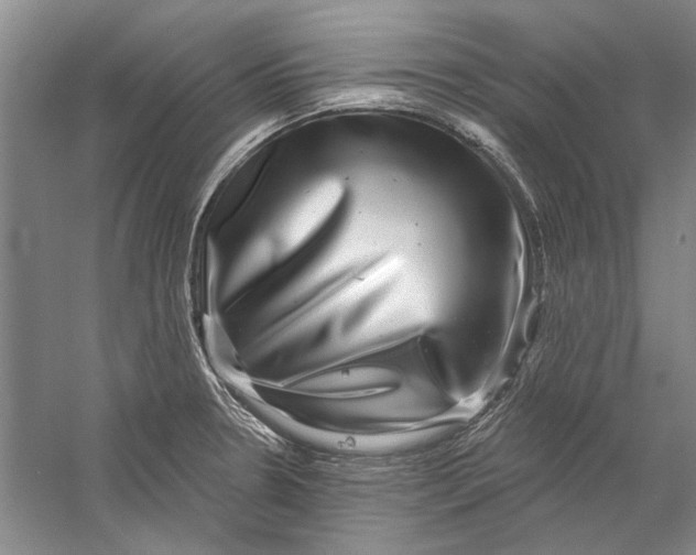 X0000056371330200509232148