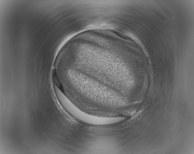 X0000056371344200509232148