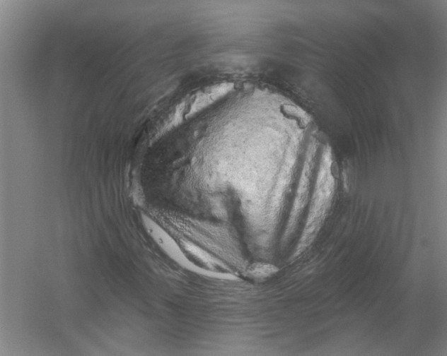 X0000056371347200509232148