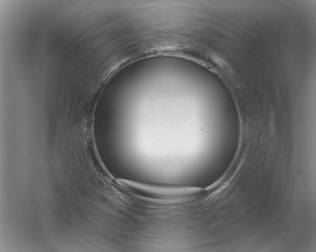 X0000056371353200509232147