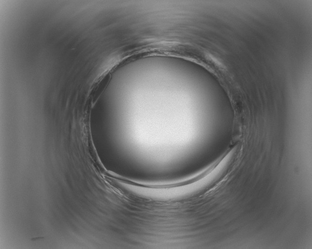 X0000056371354200509232147