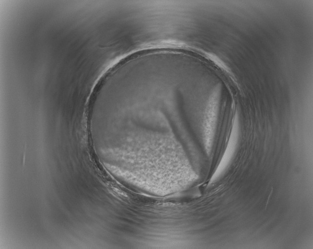 X0000056371364200509232147