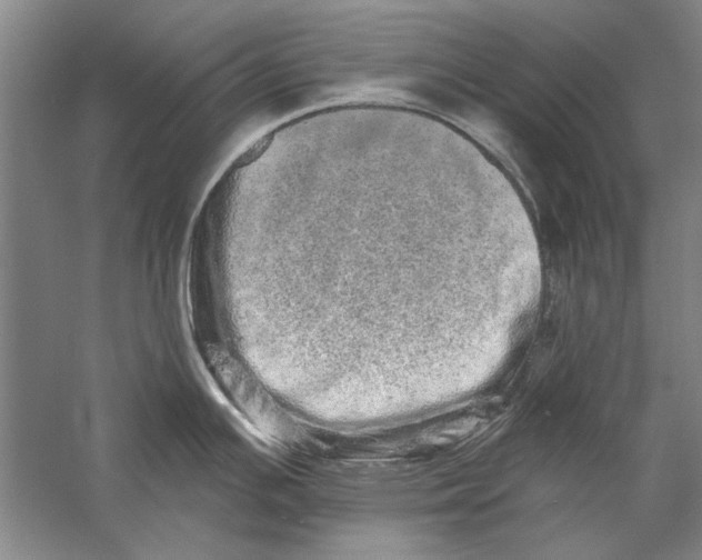 X0000056371391200509232147