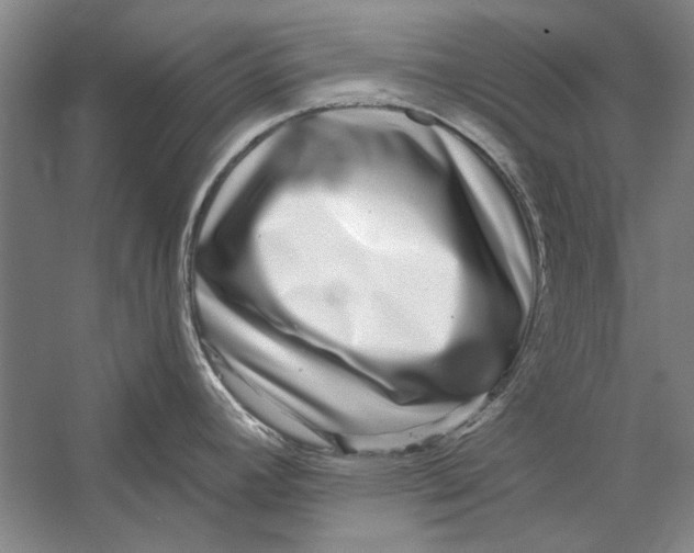 X0000056371392200509232147