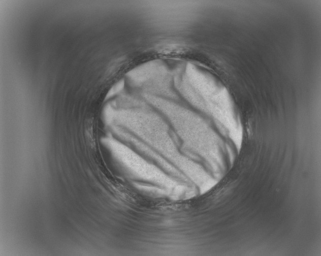 X0000056371396200509232146