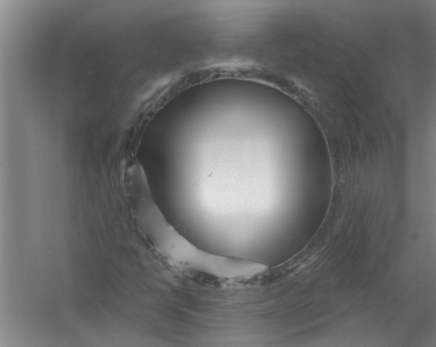 X0000056371398200509232146