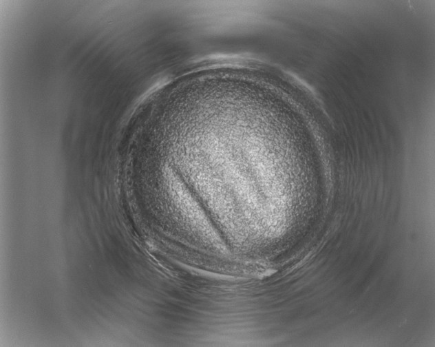 X0000056371411200509232146