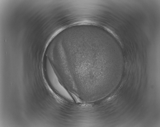 X0000056371418200509232146
