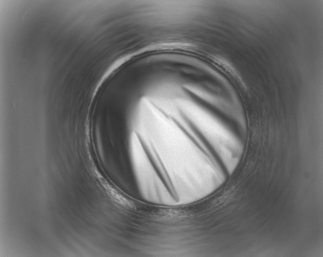 X0000056371420200509232146