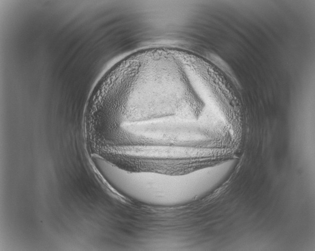 X0000056371436200509232147