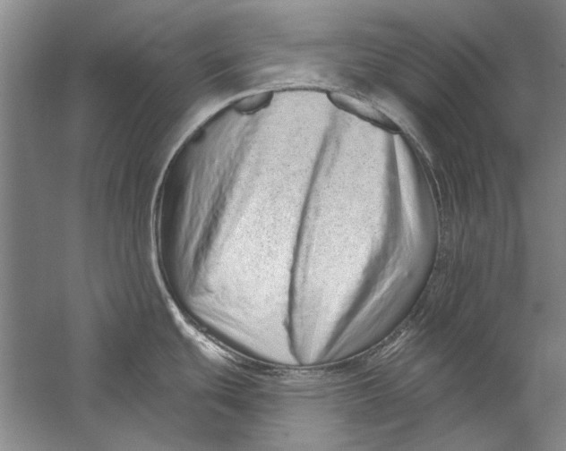 X0000056371439200509232147