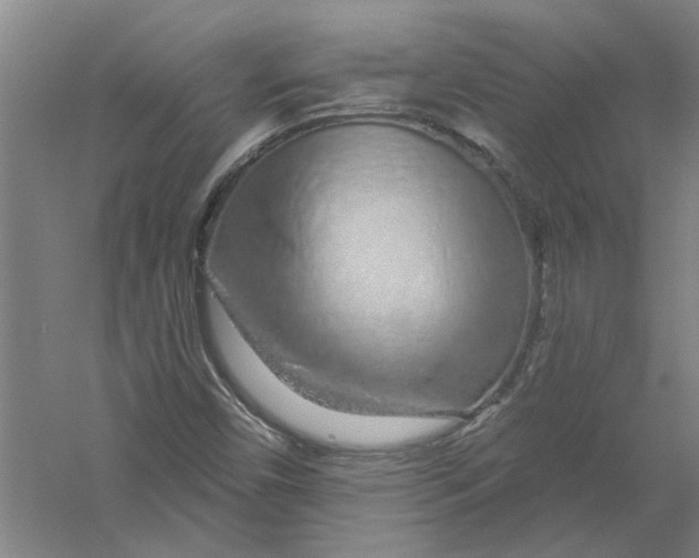 X0000056371450200509232146