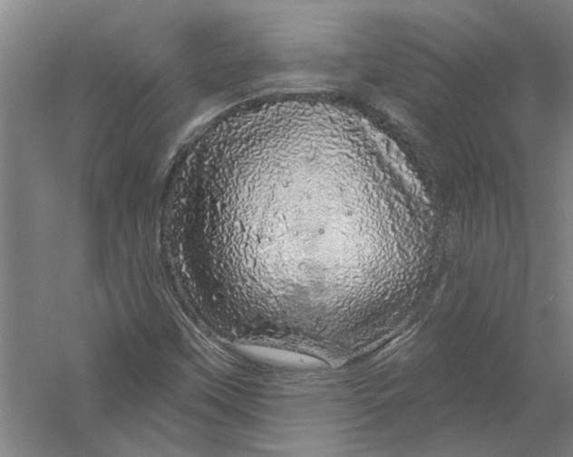 X0000056371451200509232146