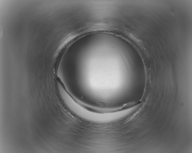X0000056371453200509232146