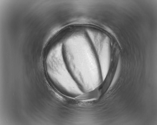 X0000056371464200509232146