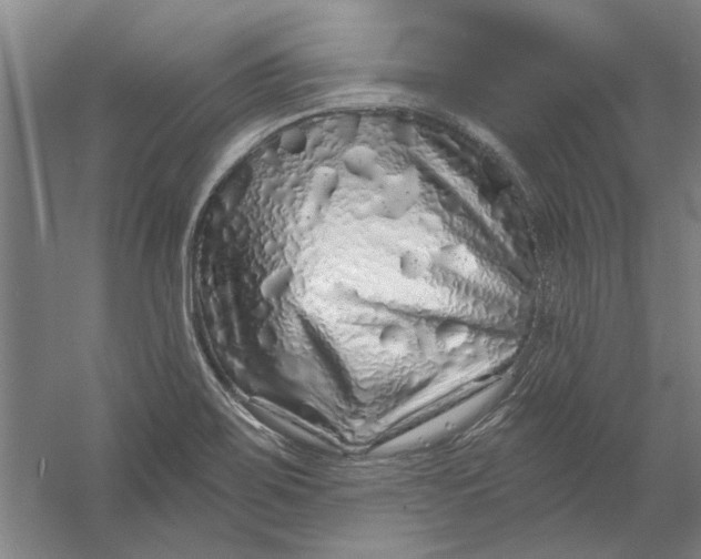 X0000056371467200509232146
