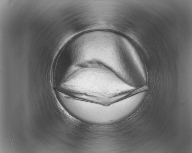 X0000056371468200509232146