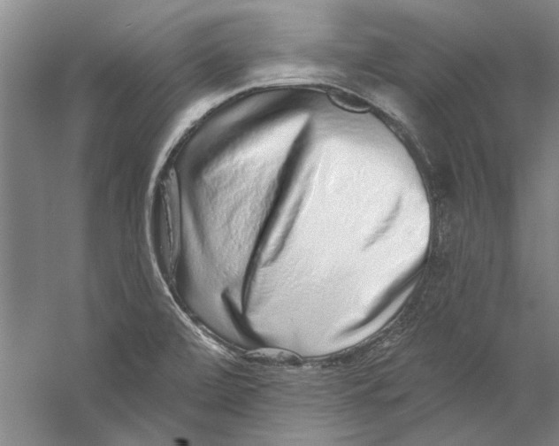 X0000056371472200509232145