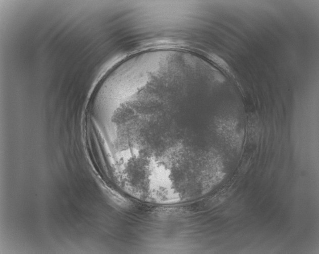 X0000056371474200509232145