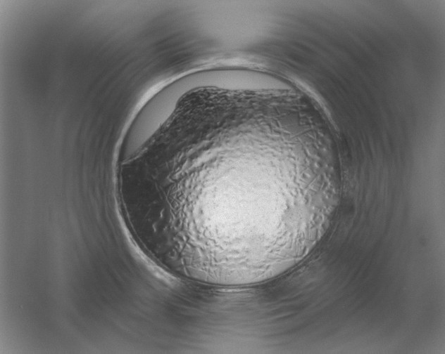 X0000056371483200509232145
