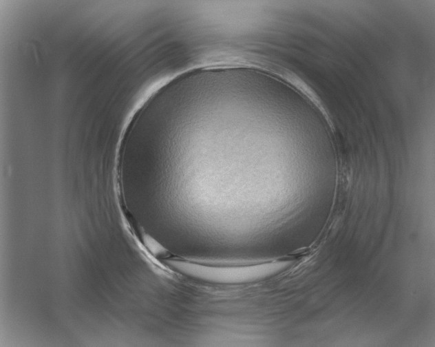 X0000056371485200509232145
