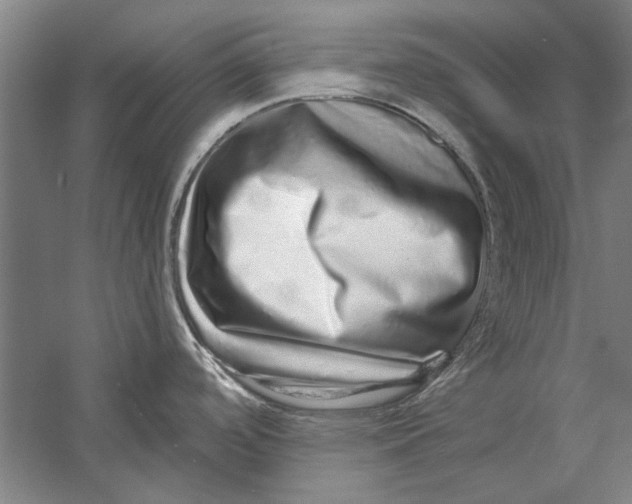 X0000056371488200509232145