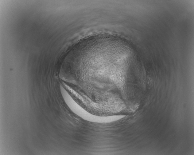 X0000056371490200509232144
